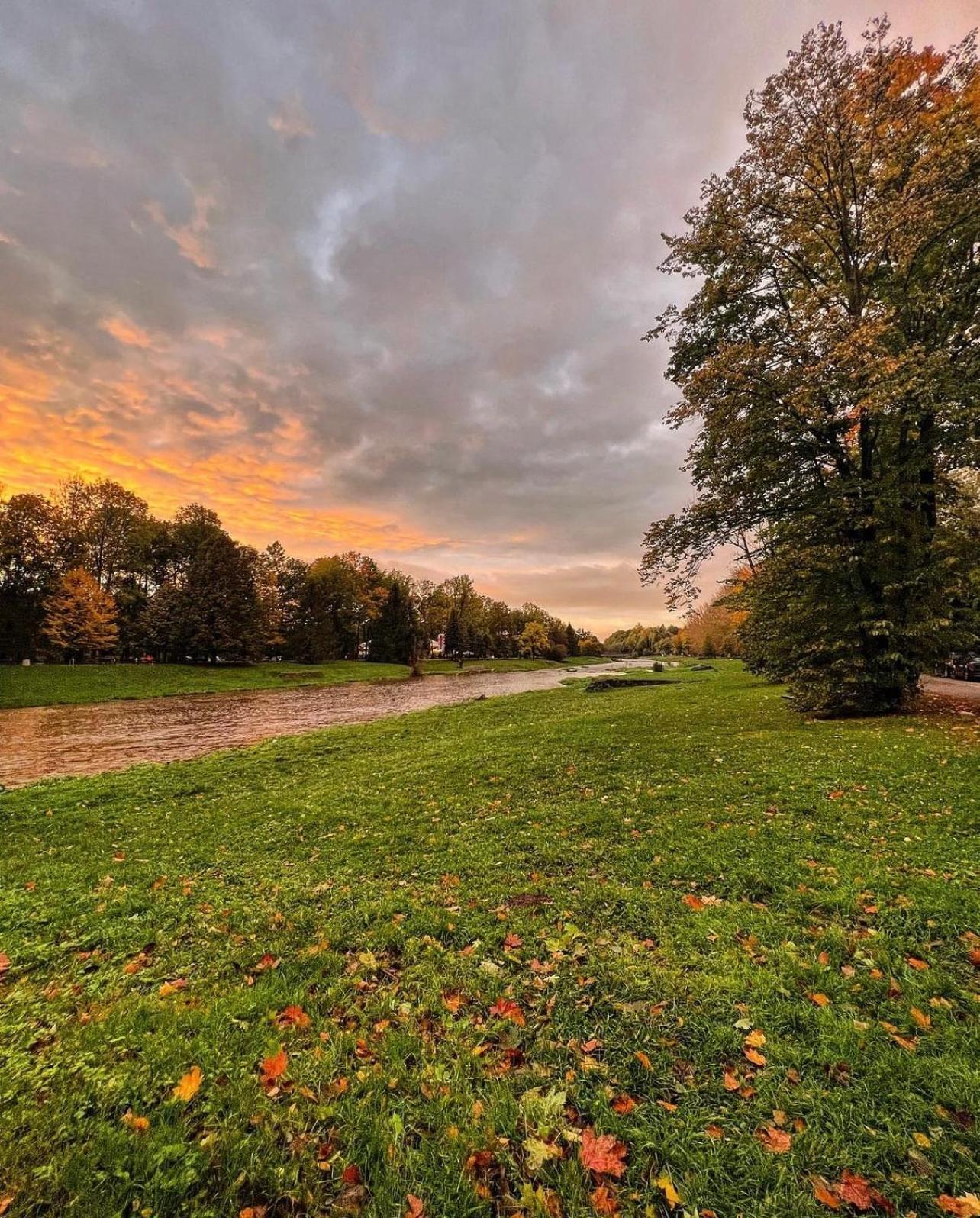 Apartament Ustronne Zacisze Ustroń Zdrój Zeta Park Zewnętrze zdjęcie